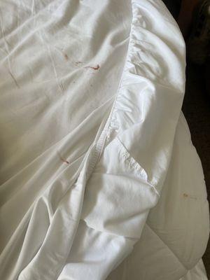 Blood in the corner of the bed no left from my family.