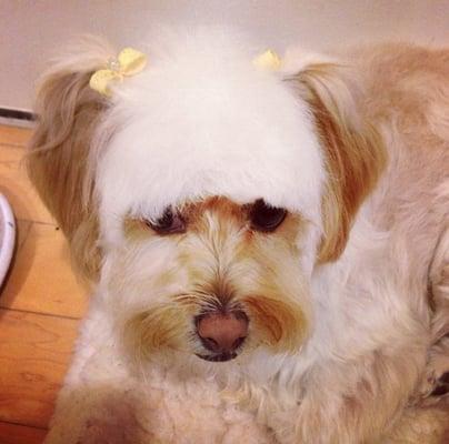 How cute are her barrettes?