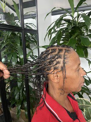 Started locs (2 strand twist)