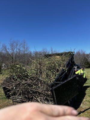 Fence row clearing