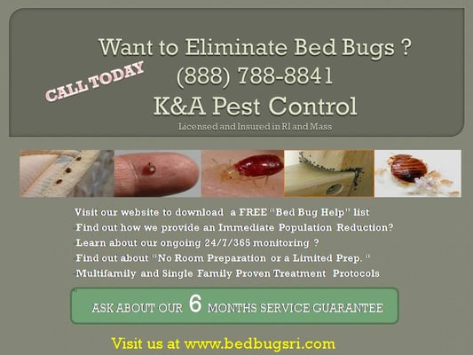 Bed Bug Extermination