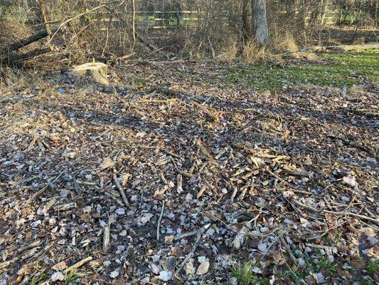 Stumps not ground up as promised, debris not cleaned up