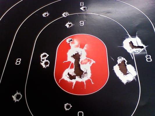 various different shots, including two in the red that are shotgun shots, and the two large marks to the right are from the wad