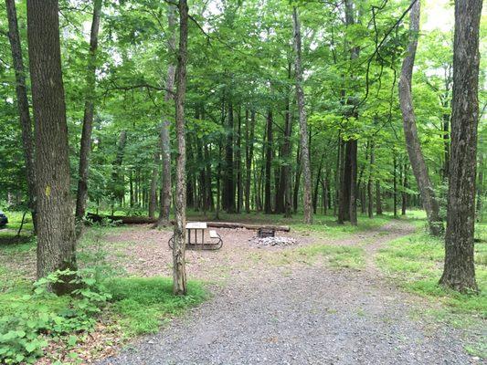 Campsite 21 has a heavily-used trail running right through it.