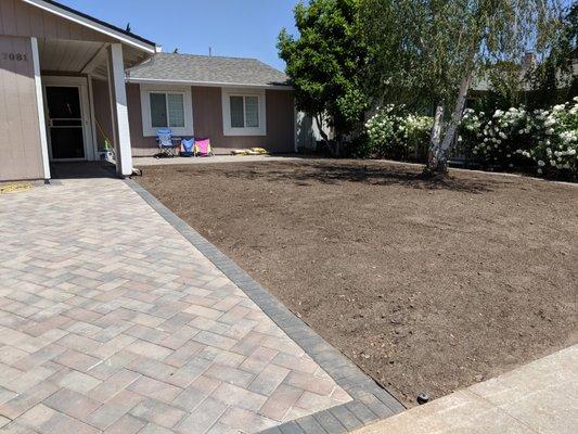 Beautiful paver walkway