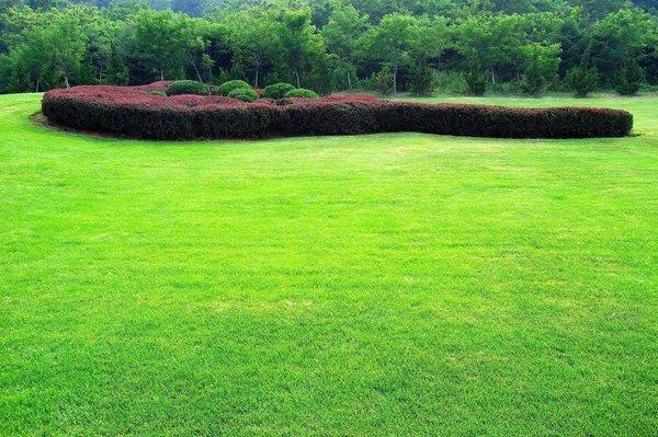 R & R Lawn Shrub & Tree Services is a landscape and tree service company located in MIdland, TX...