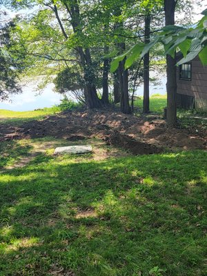 Starting stage of filling and seeding, with a berm and arborvitae natural fence.