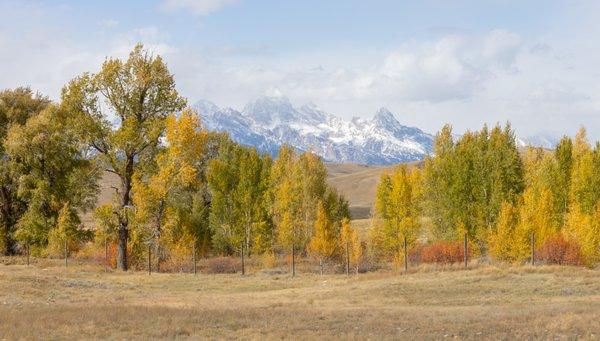 Landscape photography in Jackson Wyoming is an ever changing thing.