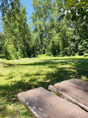 Lots of benches and porta-potties located throughout the park for your convenience.