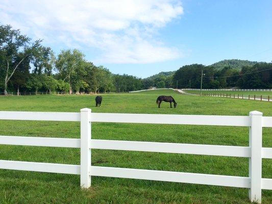 Cove Mountain Ranch