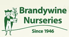 Brandywine Nurseries logo