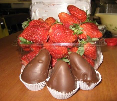 Fresh Dipped Strawberries