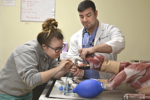 MxCC is one of only four veterinary technology programs to use the SynDaver canine in class.