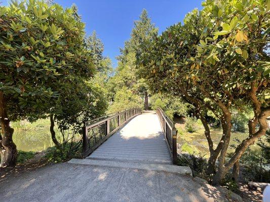 Bridge at the Pond area