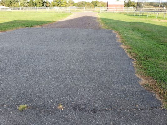 Driveway before