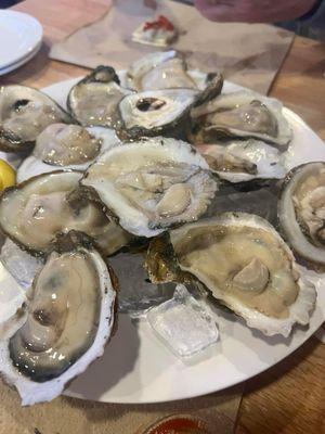 Big Raw Oysters