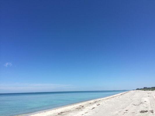 Maybe you like to stroll the beach looking for shells. Sanibel & Captiva offer world famous shelling!