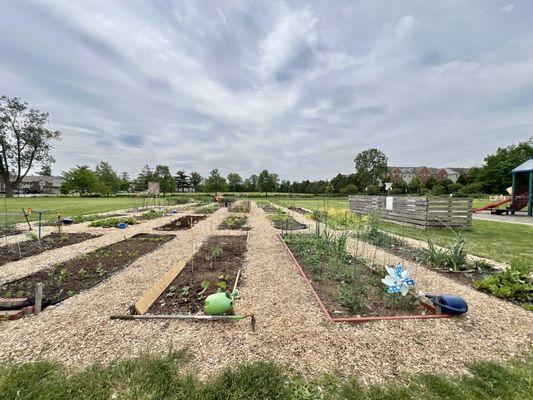 Garden plots