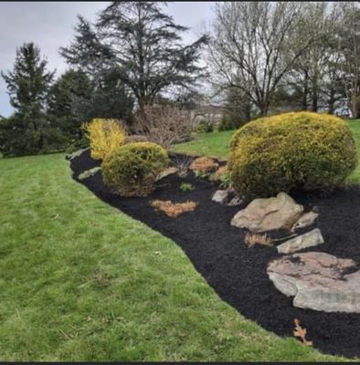 Spring cleanup with mulch installation