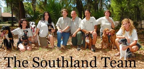 Southland Dog Training