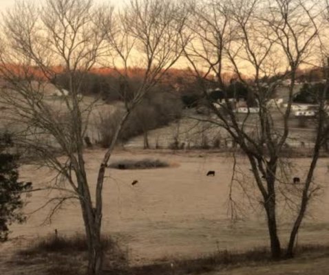 Sunrise from inside the house!