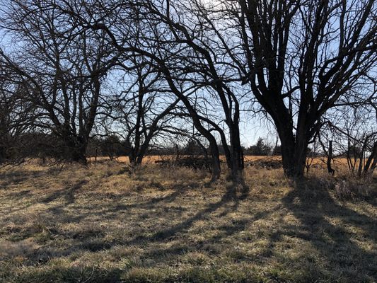 Field next to walking path