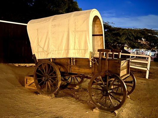 Covered Wagon