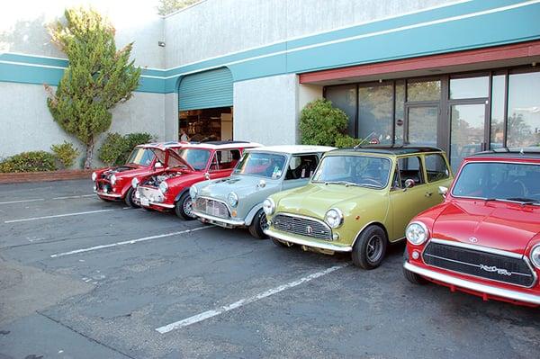 Classic Mini Coopers, in various stages of repair and/or restoration