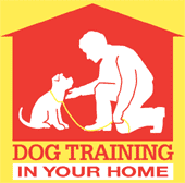 Dog Training In Your Home