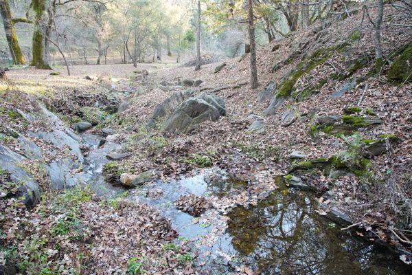 One of the beautiful creeks flowing through