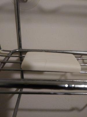 Old soap with hair left in shower by previous renters