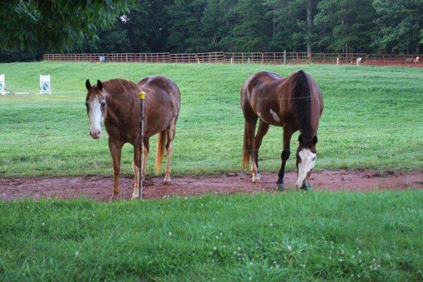 Risin'b Ranch