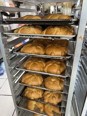 Pan de Muerto. Just baked!