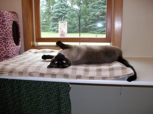 A guest relaxing in her room