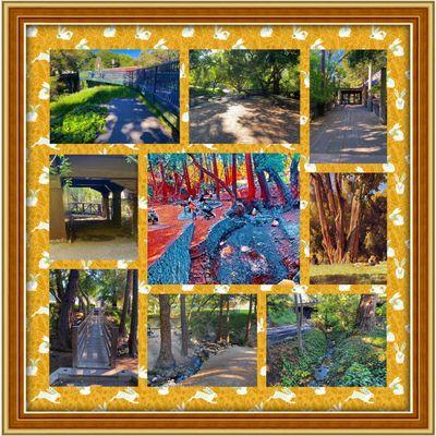 Montage of images from Live Oak Park