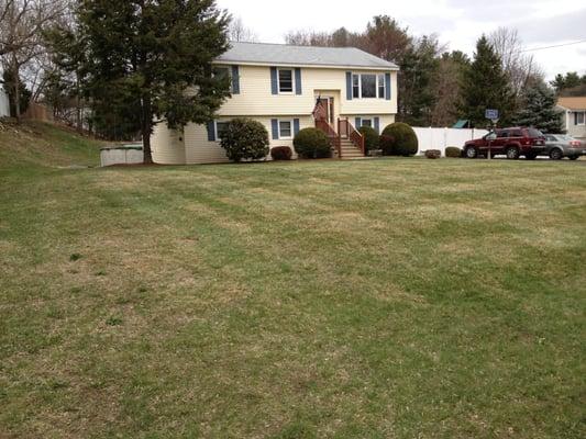 Spring cleanup complete. All leaves and winter debris removed from beds and lawn. The entire yard was de-thatched.