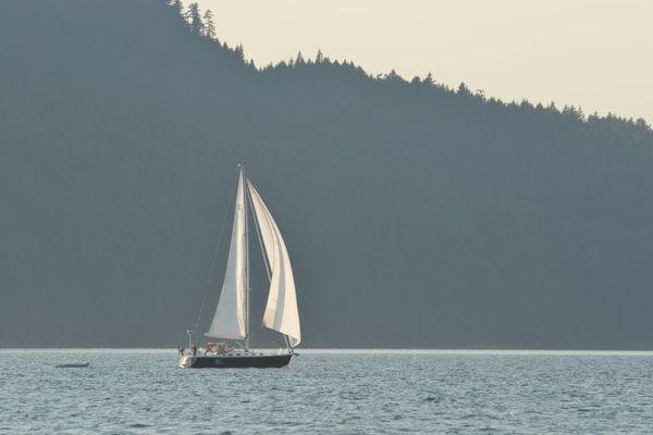 Sail the San Juan Islands from Anacortes on Fidalgo Island