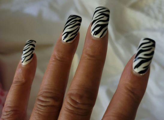 Got To Love Them.  Gel Zebra