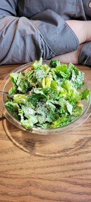 Cesar Salad