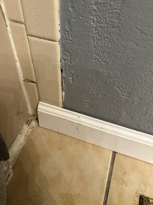 terrible trim installation, went right over tiles