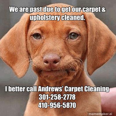 Andrews' Carpet and Upholstery