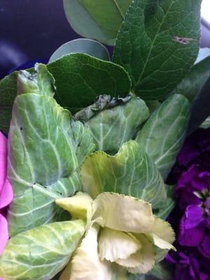 This is the day I received the bouquet. The cabbage leafs are all torn and old.