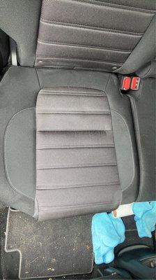 Before and Afters of a seat shampoo