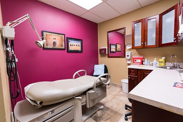 Our exam rooms-- clean & colorful!