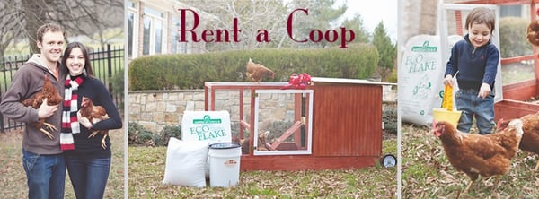 Rent A Coop