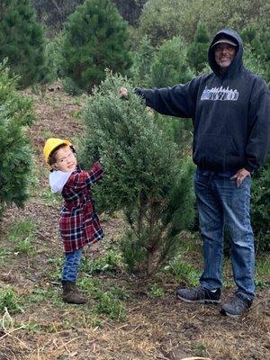 Courtneys Christmas Tree Farm