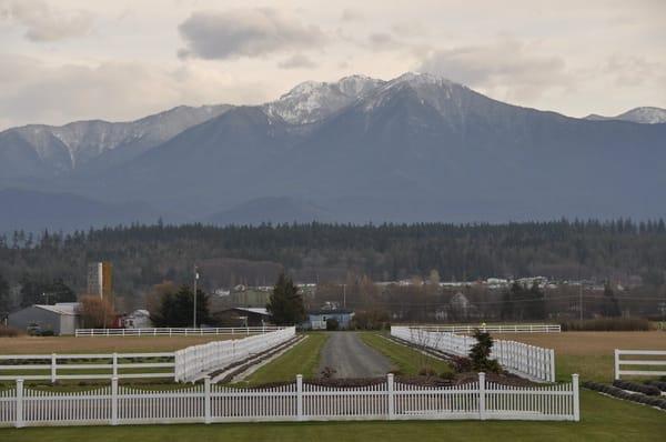 Olympic Mountains near George Washington Inn