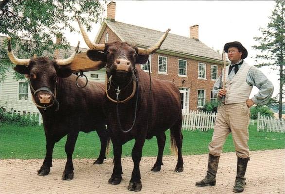 Garfield Farm Museum