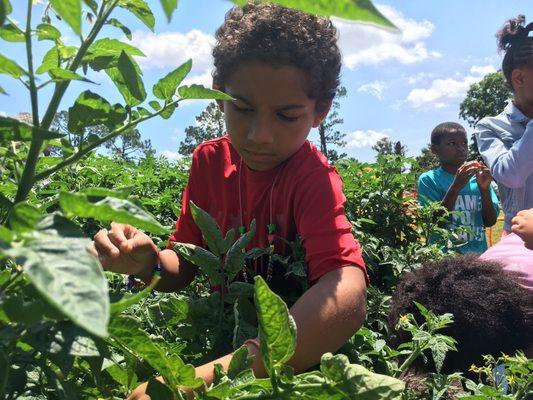 Childcare learning to garden