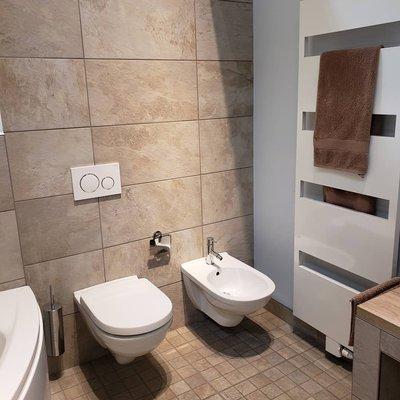 wall mounted toilet and bidet. Europa was the only company which was able to provide and install